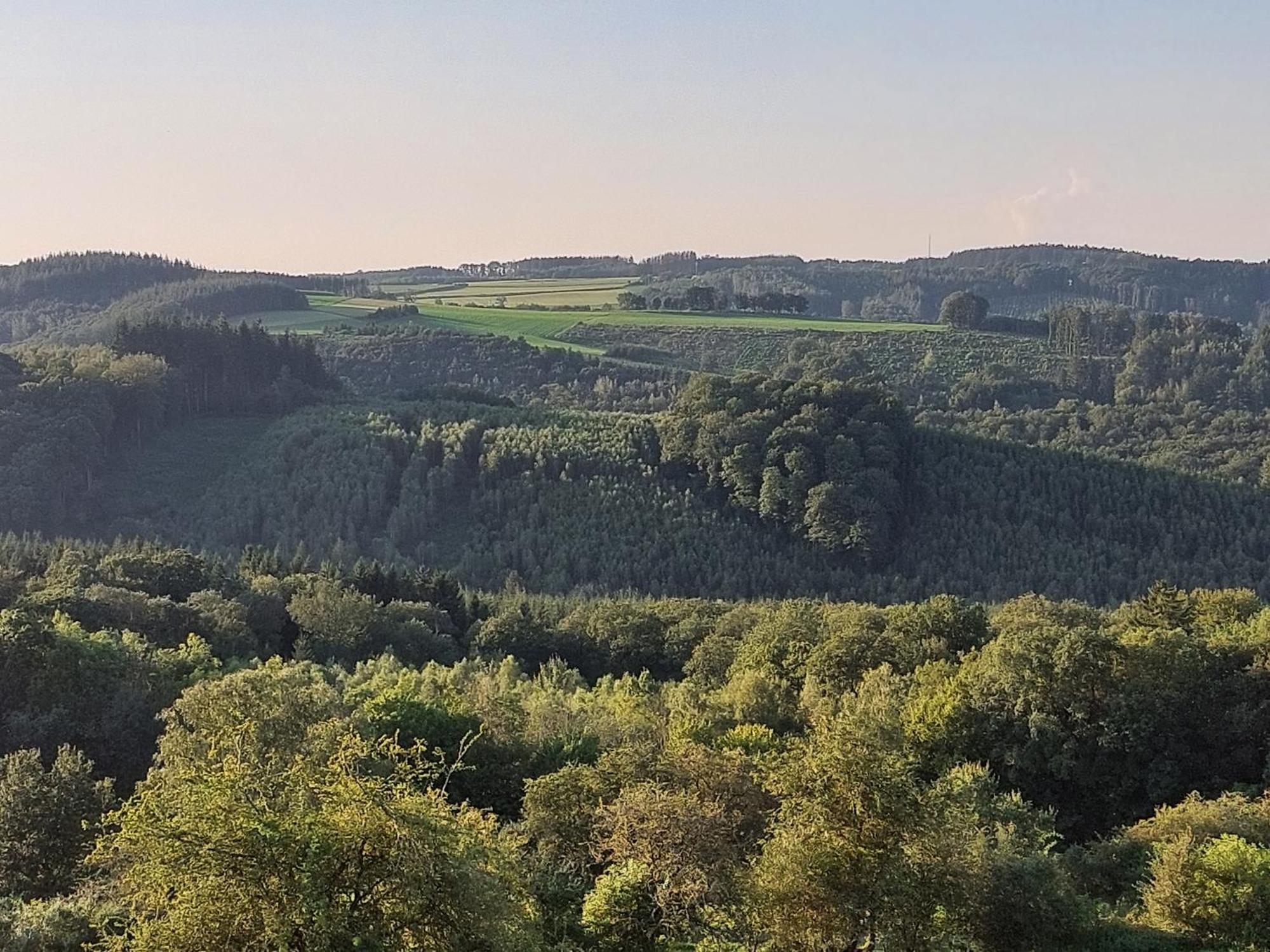 Cha Cha De Loup Luxe - Vakantiewoning Couette-café